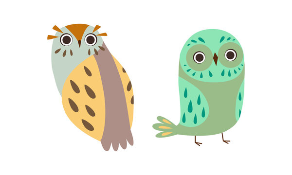 Cute Wise Owls Set, Adorable Colorful Owlets Cartoon Vector Illustration