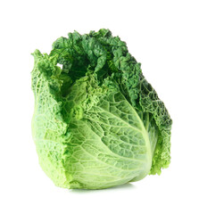 Fototapeta premium Fresh savoy cabbage on white background