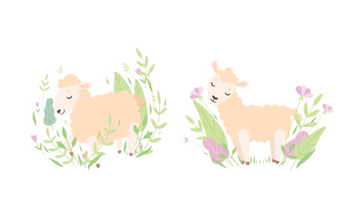 Cute Funny Little Lamb in Flowers Set, Lovely Baby Sheep Farm Animal in Pastel Colors Cartoon Vector Illustration