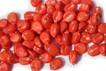 Red Corn seeds isoolated on white background. Red Chemically treated corn seed ready for planting 