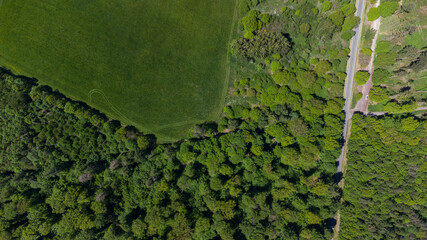 Luftaufnahme einer grünen Wiese