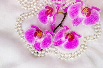 The branch of purple orchids on white fabric background
