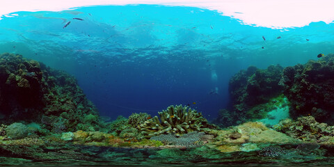 Tropical Underwater Colorful Reef. Tropical underwater sea fish. Philippines. Virtual Reality 360.