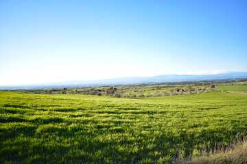 Countryside landscape with mountains behind