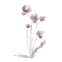 Hand drawn ink and watercolor vector illustration: red poppies flowers and buds isolated on white background