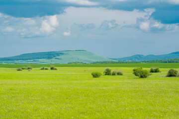 Fototapeta na wymiar The summer landscape at Hulunbuir grassland, Inner Mongolia, China.