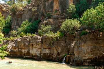 Rocky coast of a mountain river with green trees and bushes and stones