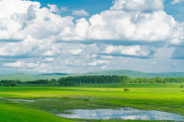Fototapeta na wymiar The forest and big grassland in Hulunbuir, Inner Mongolia, China.