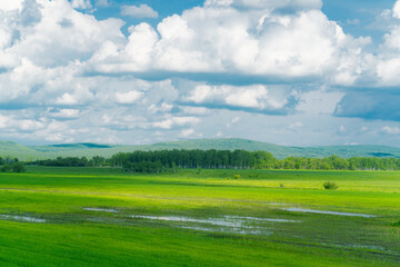 The forest and big grassland in Hulunbuir, Inner Mongolia, China.