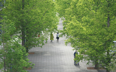 path in the park