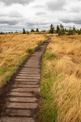 Chemin de bois au travers d'une steppe en automne