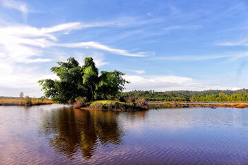 Fototapeta na wymiar river