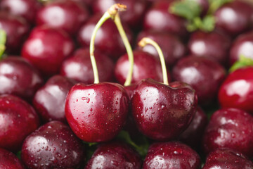 Fresh cherry with water drop