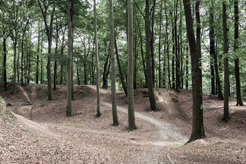 View of the paths in the park in the mountains with hilly relief. Landscape concept, background
