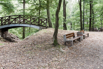 A natural park with paths, bridges and benches. Landscape, architecture concept