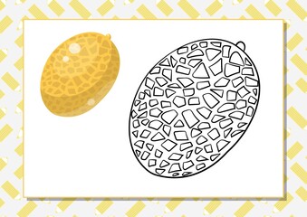 The task for preschool children to develop fine motor skills. Vector illustration. Worksheet for printing. Yellow melon.