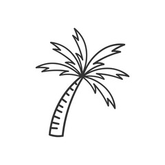 Palm Tree Icon Design Graphic Template Isolated
