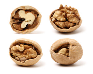 walnuts on a white background