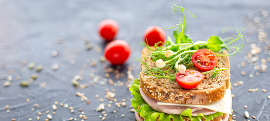 Traditional double sandwich of grain bread with sausage, cheese, herbs, cherry tomato and sesame seeds on a dark textured background. School lunch, fast food. Delicious sandwich for the menu. Banner.