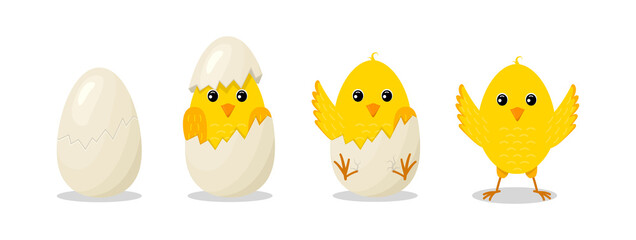 Chick hatch from egg. Step from cracked to hatch egg. Baby of chicken. Yellow bird with character. Little cute easter chick. Cartoon newborn chicken. Set of spring kids. Icon for farm. Vector © Wise ant