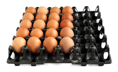 fresh chicken eggs in black tray isolated on white background