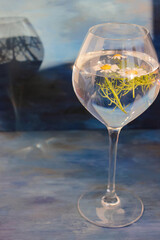 Three daisies in water in a transparent glass on a blue background