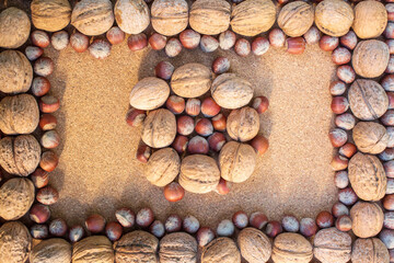Frame studies with hazelnuts and walnuts on a plywood background