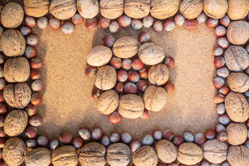 Frame studies with hazelnuts and walnuts on a plywood background