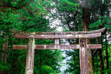 The Temples and Shrines of Nikko, Japan.