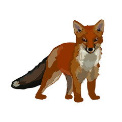 Fuchs