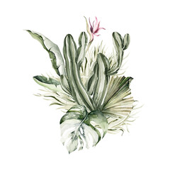 Watercolor floral composition. Hand painted tropical leaves, palm branches, cactus, cacti - bouquet set. Isolated on white background. Botanical illustration for design, print