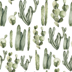 Watercolor floral seamless pattern. Hand painted tropical leaves, mexican cactus, monstera. Greenery isolated on white background. Botanical illustration for textile, print, digital paper © 60seconds
