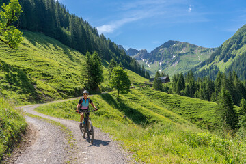 Fototapeta na wymiar happy senior woman riding her electric mountain bike up to the famous mountain village of Damuels, meeting a herd of cows, in the Bregenz Forest mountain of Vorarlberg, Austria