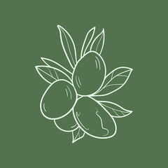 Olive branch Line vector illustration. Detailed Food icon for mobile concept, print, menu, and web apps. For for restaurant, bar, vegan, healthy and organic food, market, farmers market.