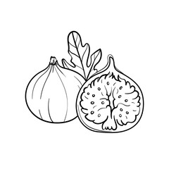 Fig Line vector illustration. Detailed Food icon for mobile concept, print, menu, and web apps. For for restaurant, bar, vegan, healthy and organic food, market, farmers market.