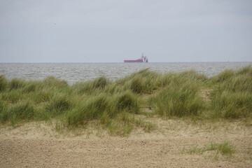 Fototapeta na wymiar Beachgrass and a boat vessel, view from Great Yarmouth beach