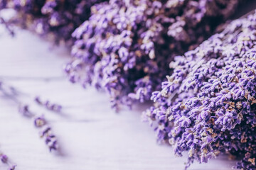 Floral nature with lavender background.