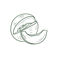 Melon Line vector illustration. Detailed Food icon for mobile concept, print, menu, and web apps. For for restaurant, bar, vegan, healthy and organic food, market, farmers market.