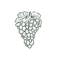 Grapes Line vector illustration. Detailed Food icon for mobile concept, print, menu, and web apps. For for restaurant, bar, vegan, healthy and organic food, market, farmers market.