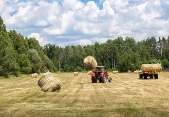 Obraz premium Haymaking. Harvesting hay from the field