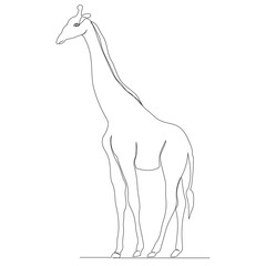 giraffe drawing by one continuous line sketch, isolated