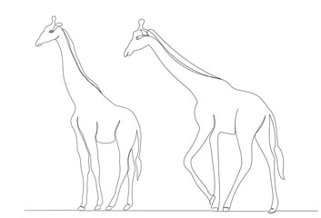 giraffe drawing by one continuous line sketch, isolated, vector