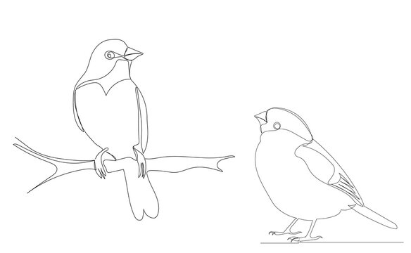 bird on a branch drawing by one continuous line