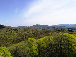 spring view