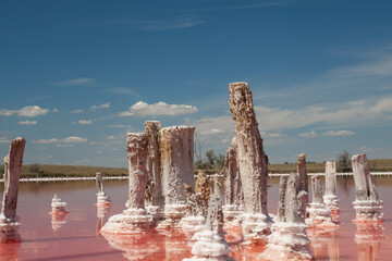 Pink lake located near the Kinburn spit in the Kherson region - obrazy, fototapety, plakaty