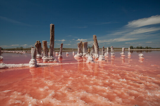Pink lake located near the Kinburn spit in the Kherson region