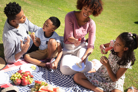 Happy african american couple with son and daughter outdoors, having picnic in sunny garden - Powered by Adobe