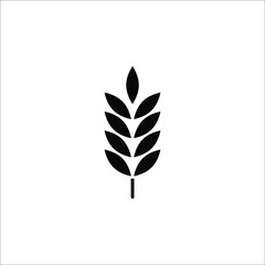 Fototapeta na wymiar Farm wheat ears icon vector template on white background