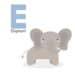 Letter E and a cute cartoon elephant. Children's English alphabet. It is suitable for the design of postcards, books, leaflets, banners, birthday invitations. Colorful vector illustration