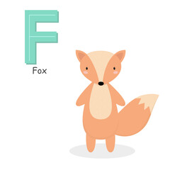 Letter F and a cute cartoon fox. Children's English alphabet. It is suitable for the design of postcards, books, leaflets, banners, birthday invitations. Colorful vector illustration